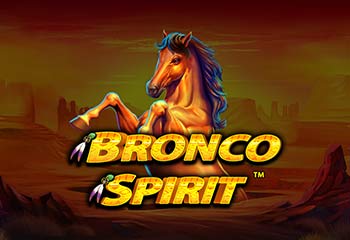 Bronco Spirit